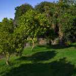 IMG_6522