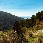 IMG_7211