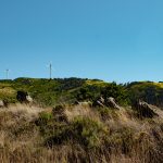 IMG_7273