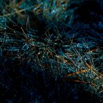 IMG_7280