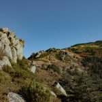 IMG_7300