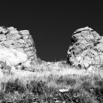 IMG_7338