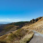 IMG_7351