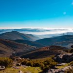 IMG_7414