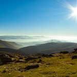 IMG_7429