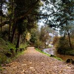 River Bank